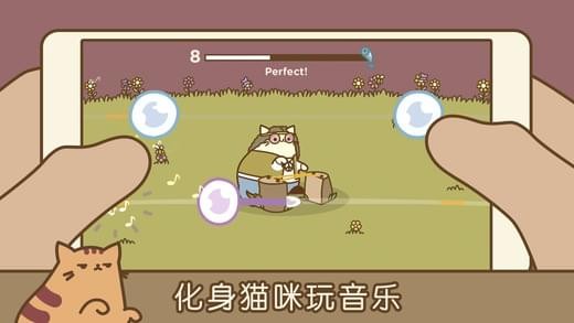 音樂貓咪2