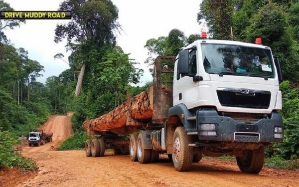 重型貨車運輸模擬器(Long Cargo Truck)0