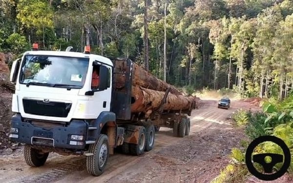 重型貨車運輸模擬器(Long Cargo Truck)2