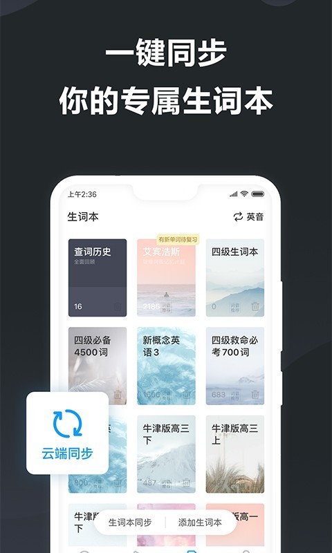 金山詞霸1