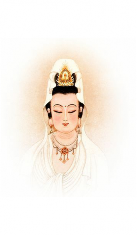 壽康寶鑒日歷客戶端0