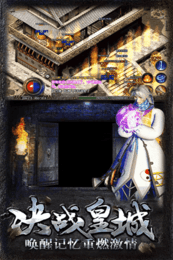 傳奇世界道士打?qū)毎?