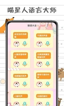 小貓交流器1