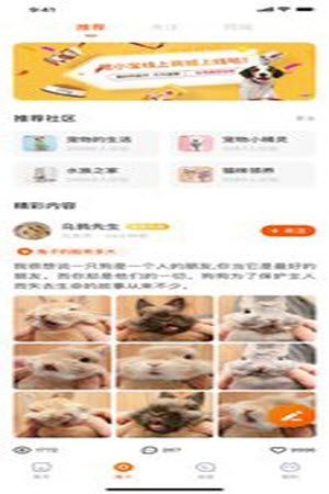 財貓雙犬0