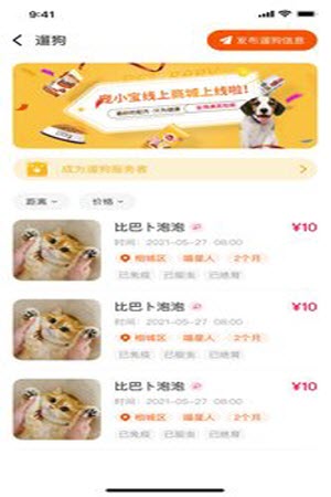 財貓雙犬1