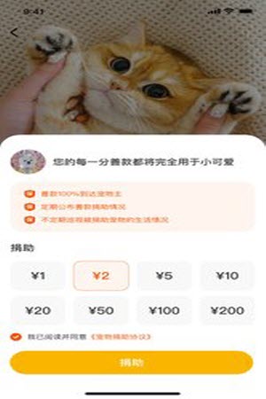 財貓雙犬2
