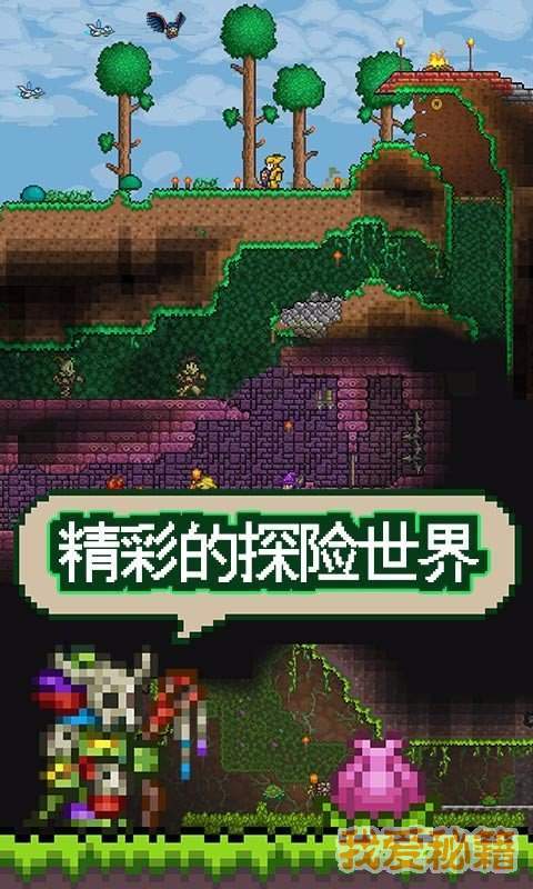 泰拉瑞亞1.3免費完整版4