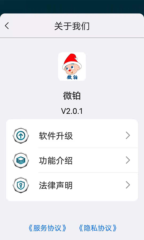 微鉑1