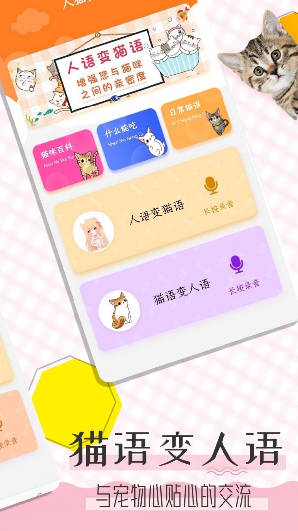 貓語翻譯寶0