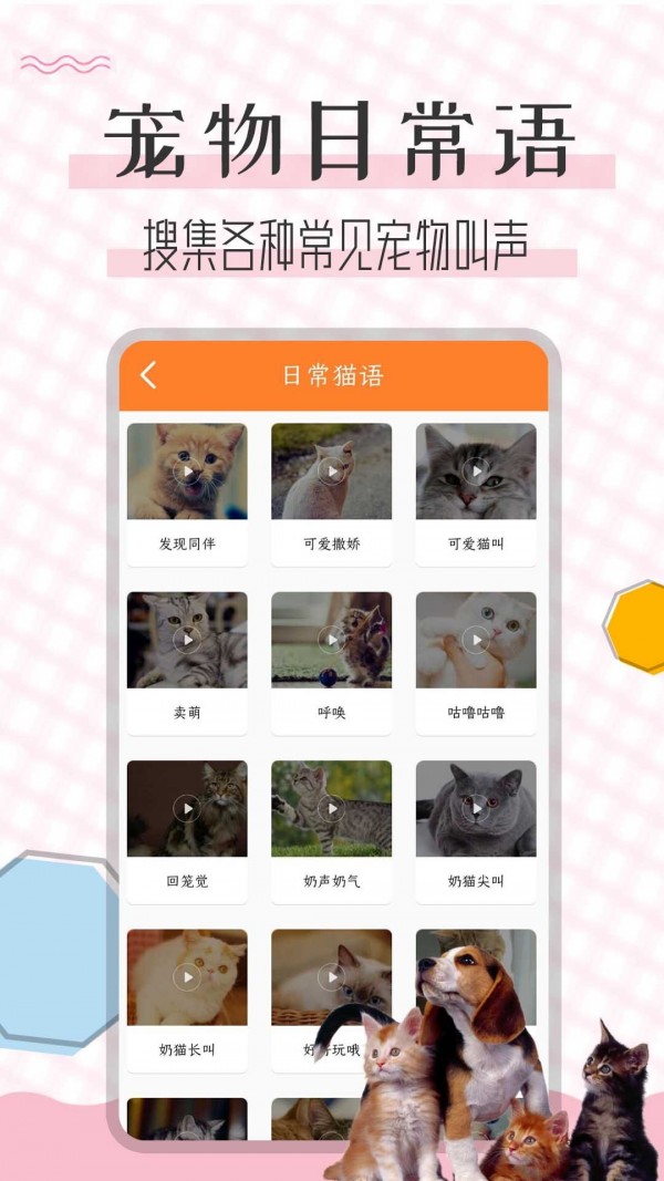 貓語翻譯寶2