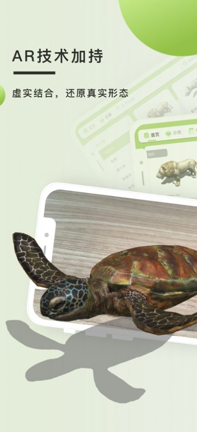 動物圖鑒3D1