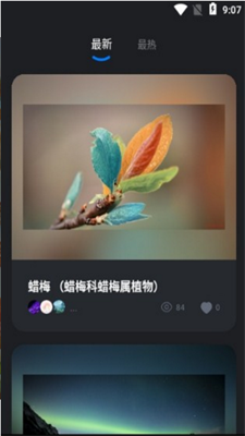元視覺0