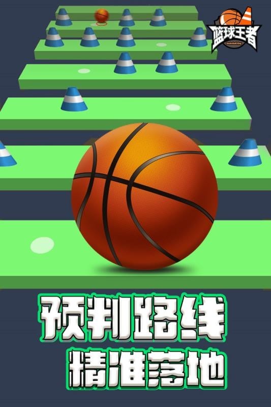 籃球王者九游版1