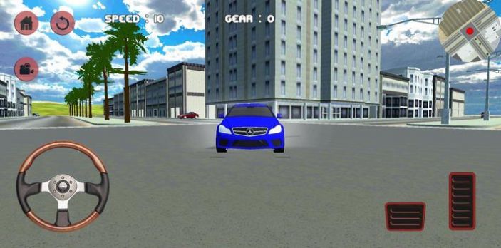 C180駕駛模擬器(C180 Driving Simulator)2