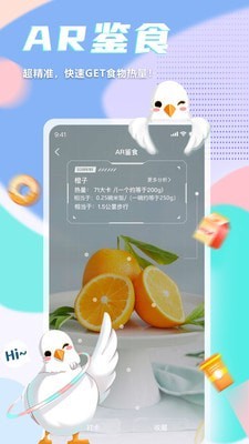呼啦鴿0