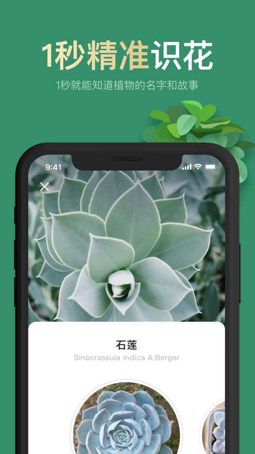 拍照識花0