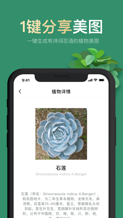 拍照識花1