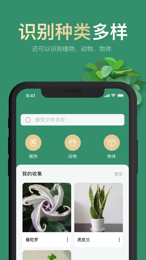 拍照識花2