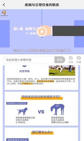 寵物訓養小課堂0