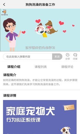 寵物訓養小課堂3