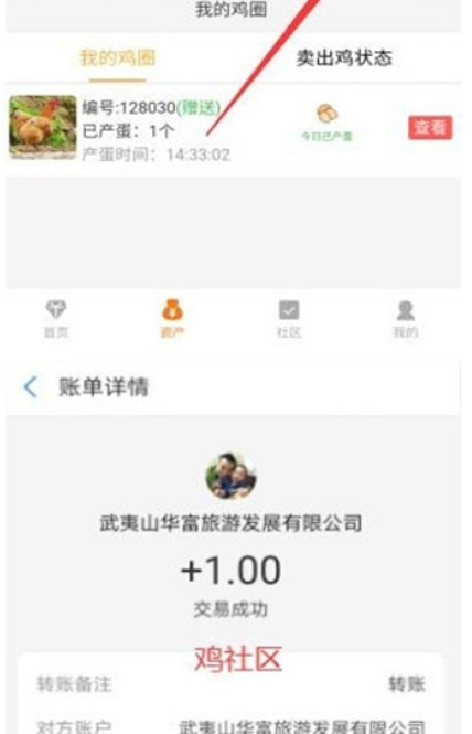 雞社區紅包版1