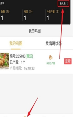 雞社區紅包版2