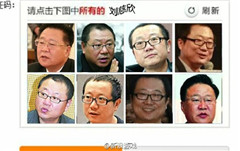 12306驗證碼惡搞軟件0