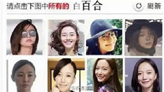 12306驗證碼惡搞軟件1