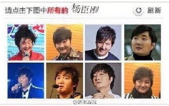 12306驗證碼惡搞軟件2