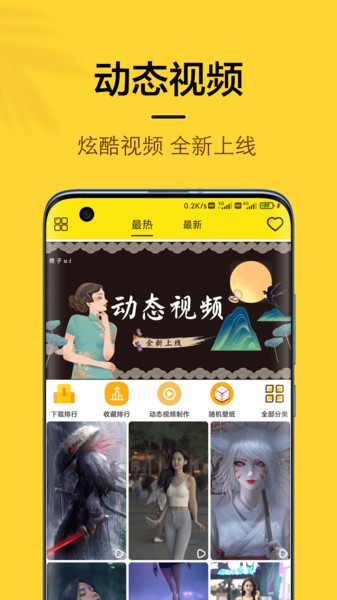 橙子4D動態壁紙1