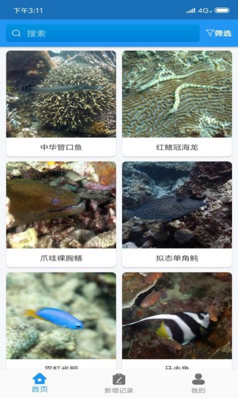 常見珊瑚礁魚類速查1