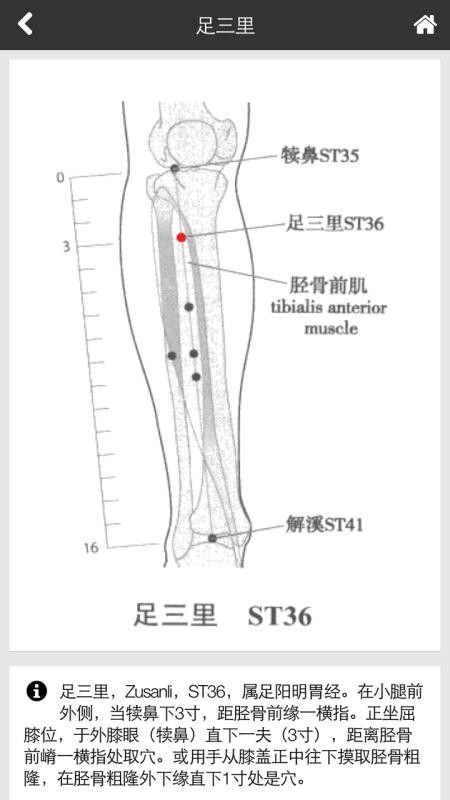 中醫全科專家系統3