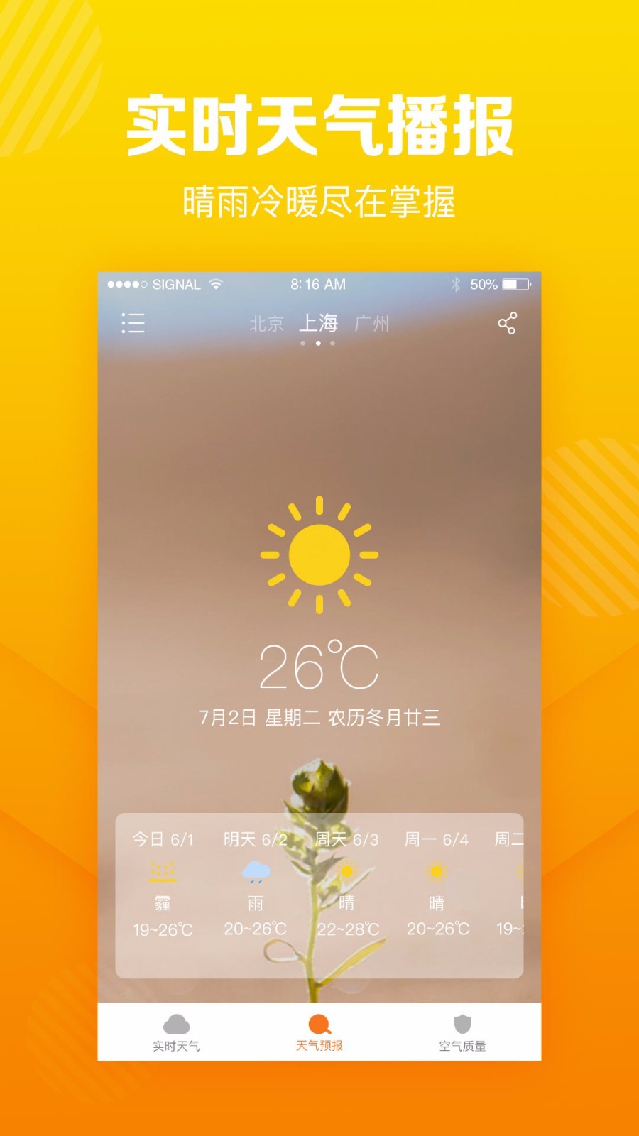 菠蘿天氣0