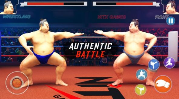 日本相撲賽1