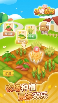 小豬農(nóng)場2