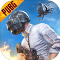 PUBG手游國際版