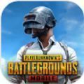 pubg mobile國際服手游