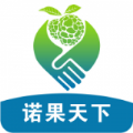 諾果天下