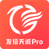 友信天誠pro