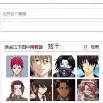 12306驗(yàn)證碼惡搞軟件