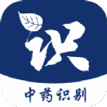 中藥識別