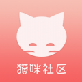 貓咪社區