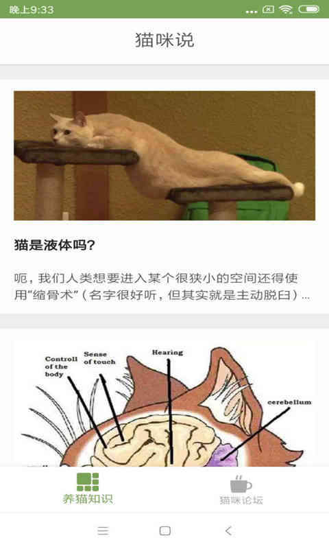 貓咪生活圈手機版下載0