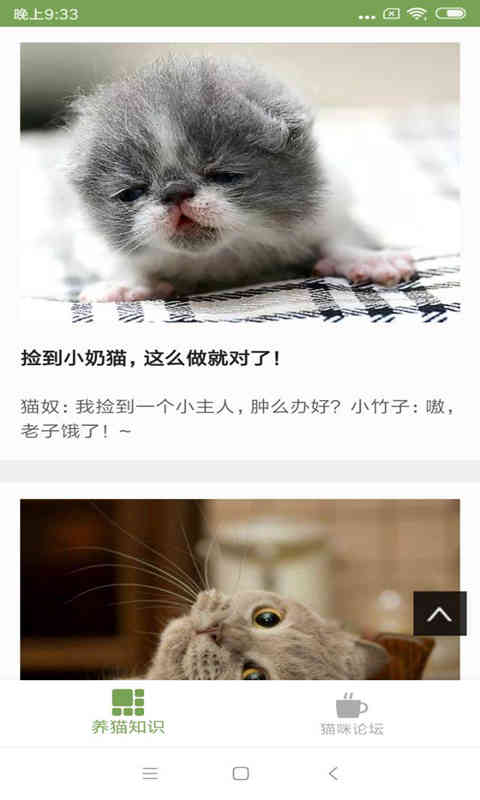 貓咪生活圈手機版下載2