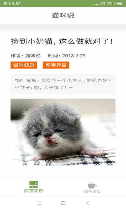 貓咪生活圈手機版下載1