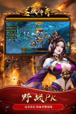 圣域傳奇九游版3