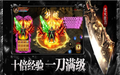 飛鴻合擊1