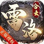 雷洛合擊1.80星王復古合擊