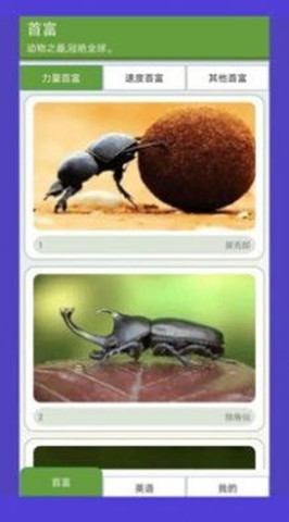 動(dòng)物園首富3