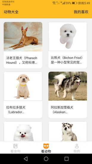口袋樂看金句APP2
